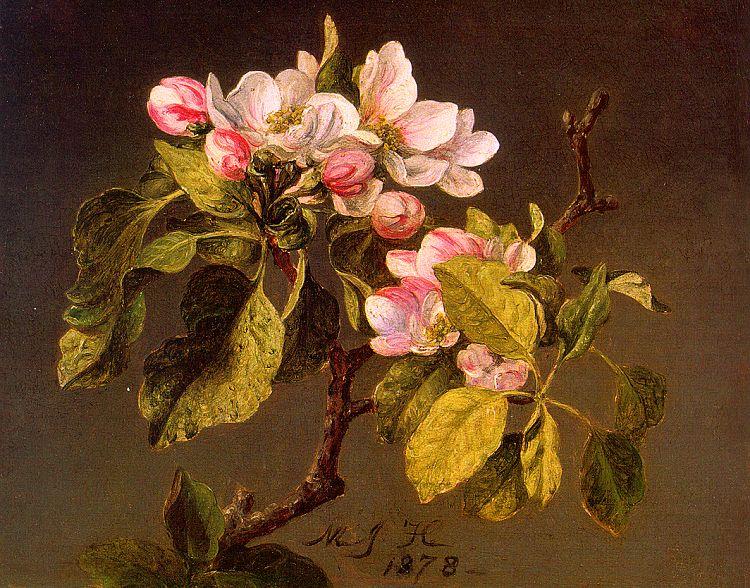 Martin Johnson Heade Apple Blossoms oil painting image